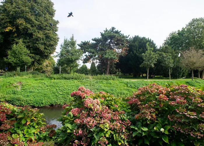 - Perfect For Bigger Groups * Goch